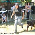 EXPOSITION CANINE NATIONALE  CHATEL-GUYON 2018