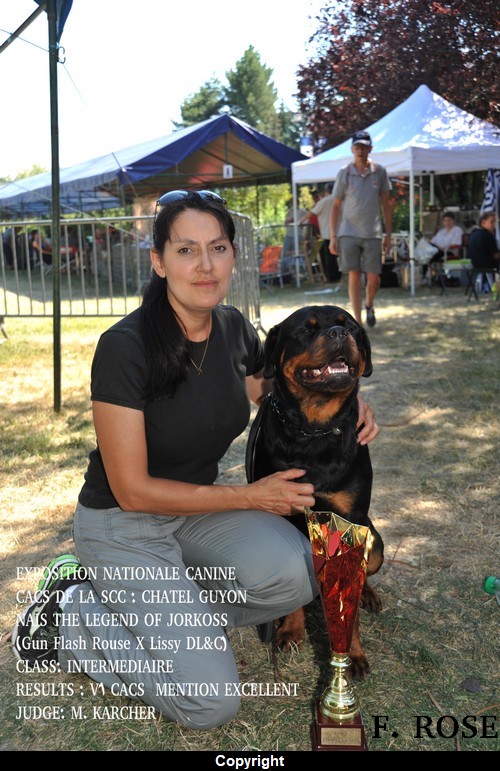 EXPOSITION  CANINE NATIONALE CHATEL - GUYON 2018