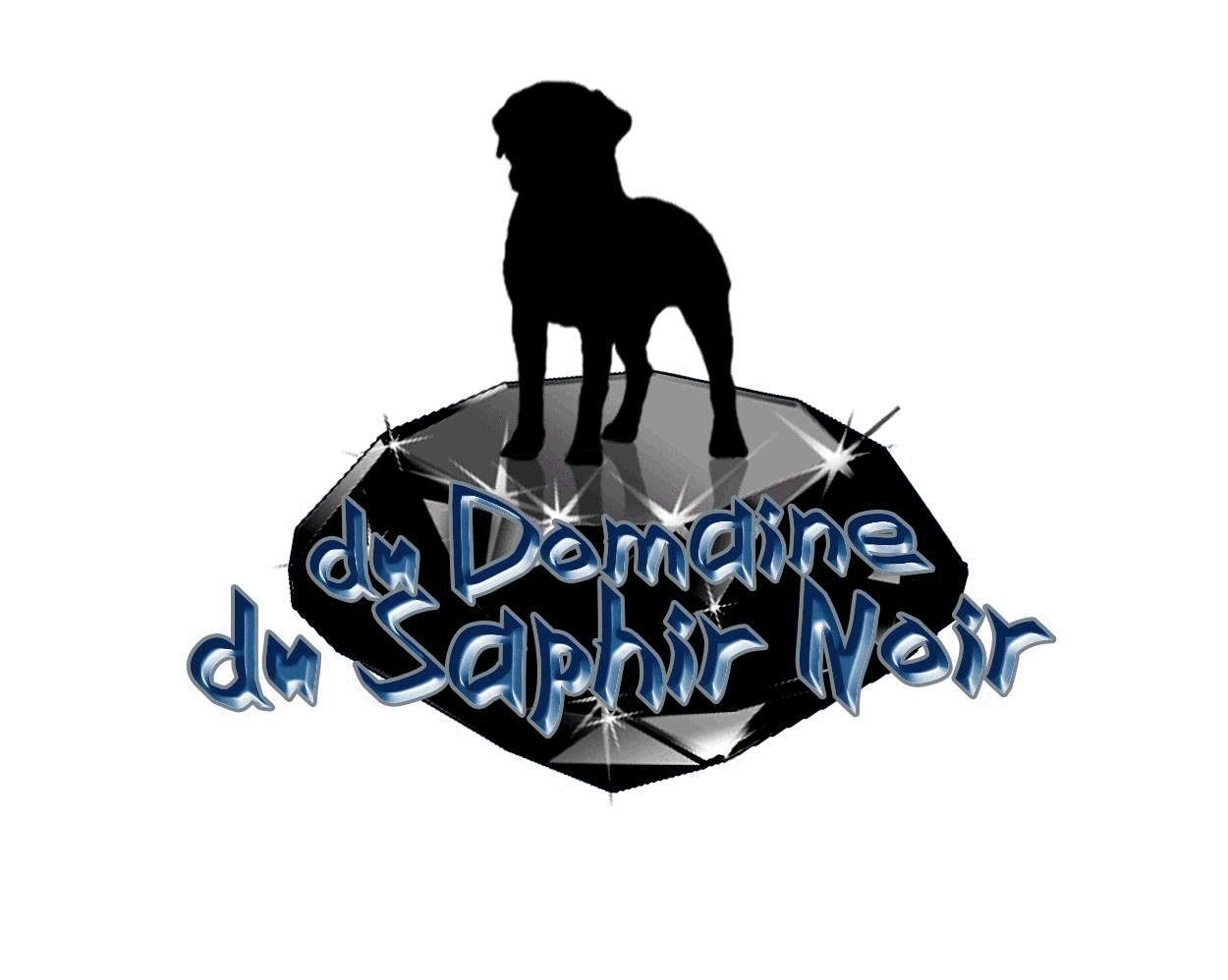 Domaine du Saphir Noir